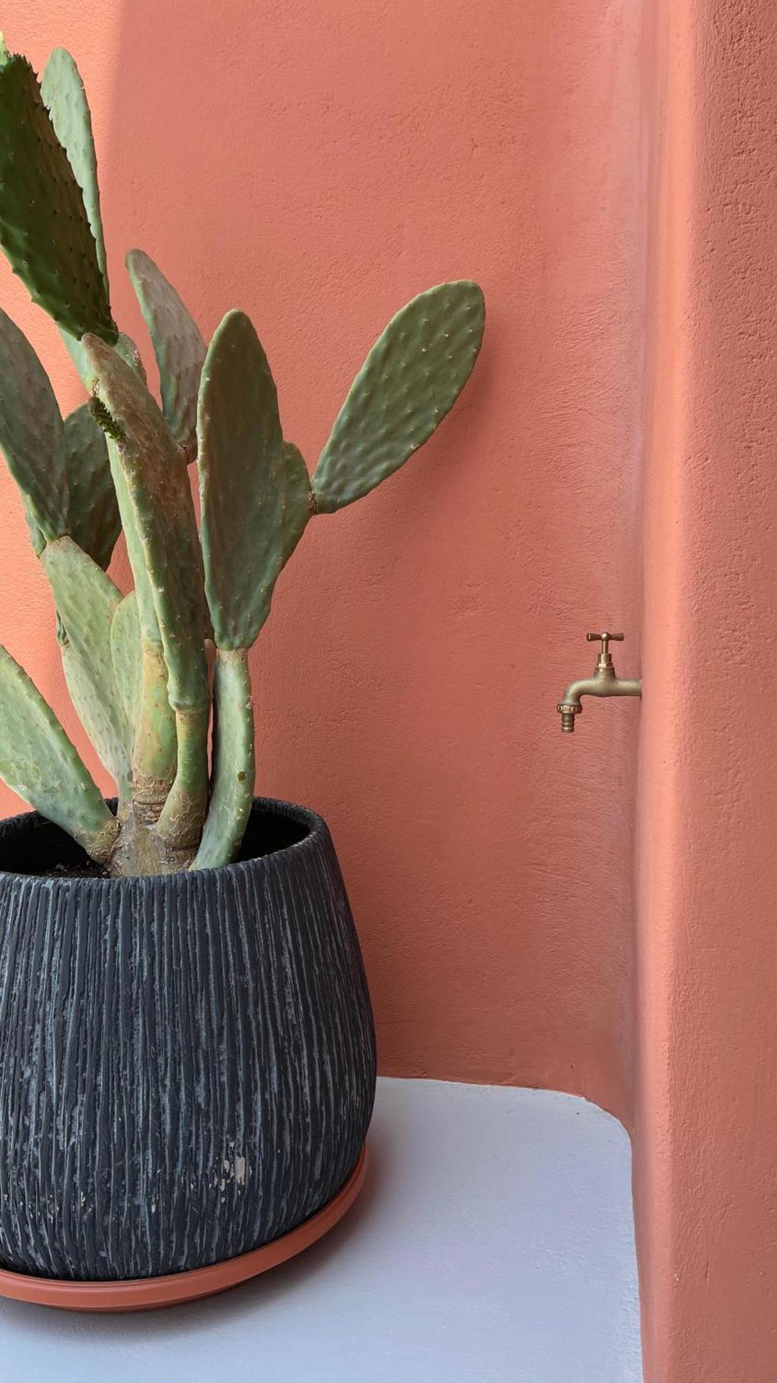 Pink Freud Villas Santorini イア エクステリア 写真