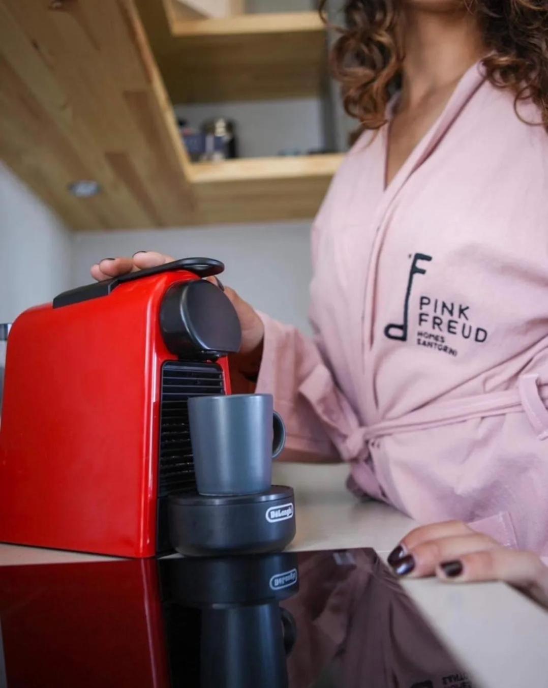 Pink Freud Villas Santorini イア エクステリア 写真